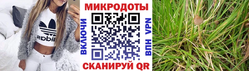 Псилоцибиновые грибы Cubensis  даркнет официальный сайт  Судак 