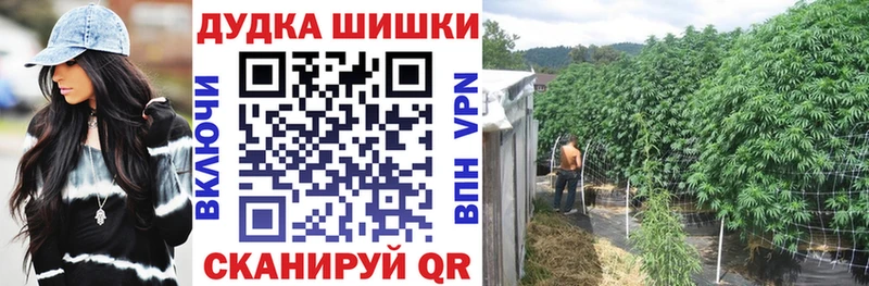 закладки нарко площадка как зайти Бошки марихуана Bruce Banner Судак